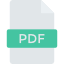 Icon Download PDF